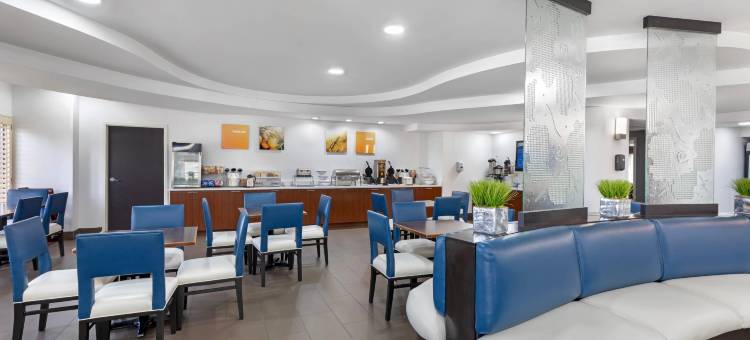 舒适套房酒店-DFW N/葡萄藤(Comfort Suites DFW N-Grapevine)图片