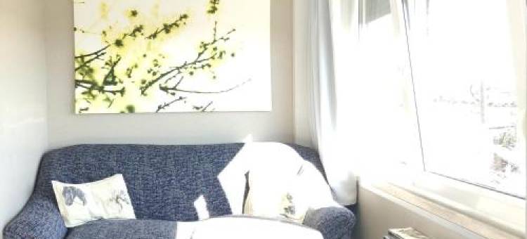 图尔皮诺之家(Turpino House)图片