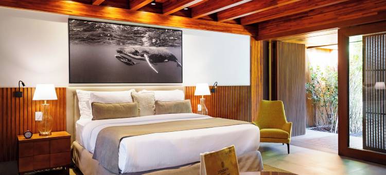 Zendaya 度假村海滩运动及水疗中心(Zendaya Resort Beach Sport & Spa)图片