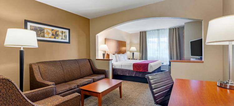 舒适套房酒店-达拉斯北(Comfort Suites North Dallas)图片