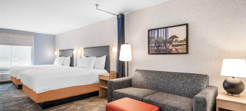 希尔顿欢朋套房酒店-欧文/达拉斯沃斯堡机场北(Home2 Suites by Hilton Irving/DFW Airport North)图片