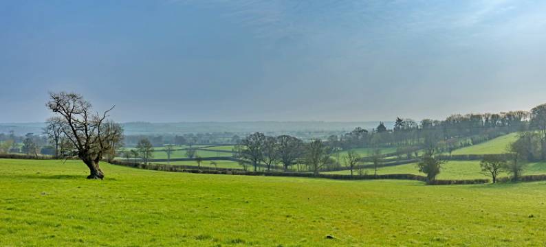 萨默塞特侏罗纪海岸乡村别墅(Cottage in Somerset near Jurassic Coast)图片