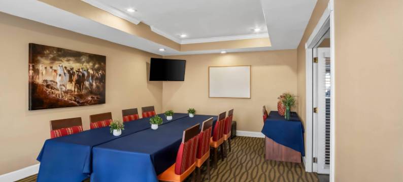 品质酒店套房欧文-拉斯科利纳斯(Quality Suites Irving-Las Colinas)图片