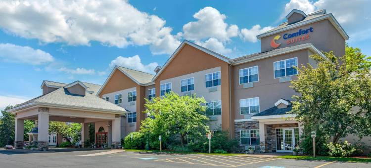 舒适套房酒店(Comfort Suites)图片