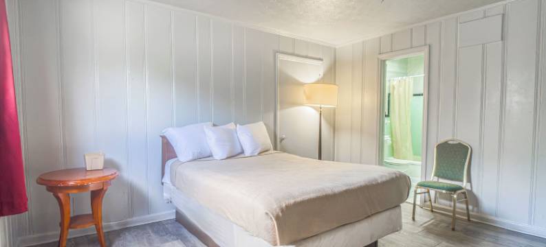 OYO 科洛尼旅馆 哥伦布 US-280(Colony Inn By OYO Columbus US-280)图片