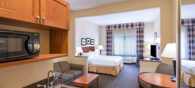 弗纳尔洲际智选假日套房酒店 - 恐龙之地(Holiday Inn Express & Suites Vernal - Dinosaurland by IHG)图片