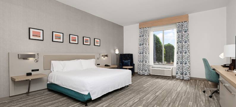 纽布朗费尔斯希尔顿花园酒店(Hilton Garden Inn New Braunfels)图片