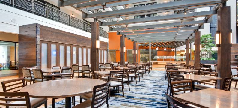 希尔顿安泊酒店-明尼阿波利斯机场(Embassy Suites by Hilton Minneapolis Airport)图片