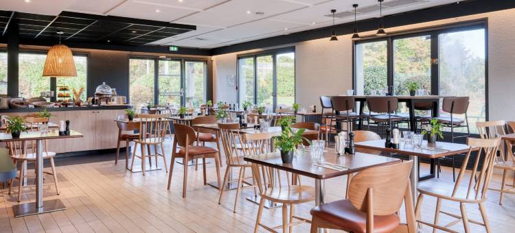 波尔多南佩萨克康铂酒店(Campanile Nature - Bordeaux Sud Pessac)图片