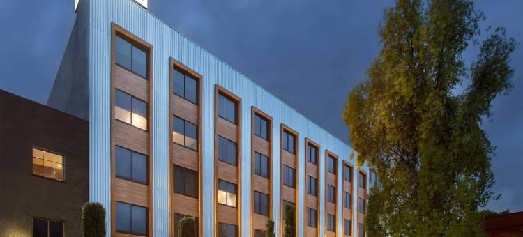 Hotel MX lagunilla CDMX, Trademark Collection by Wyndham图片