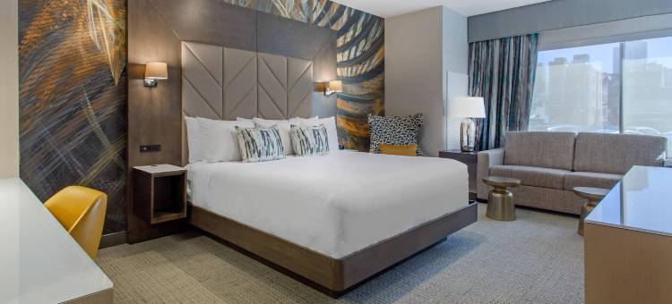 坎布里亚酒店-费城市中心(Cambria Hotel Philadelphia Downtown Center City)图片