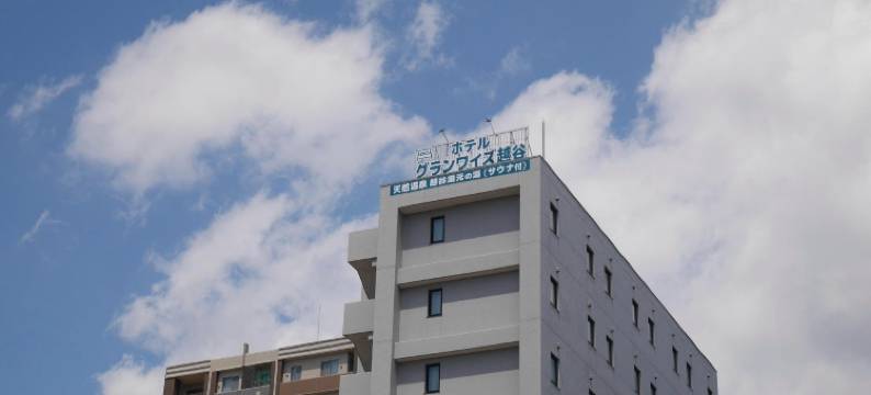 越谷Glany's尊享酒店(Hotel Glany's Koshigaya Premier)图片