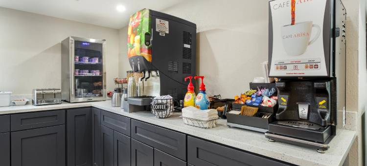 梅恩斯泰套房坦帕莫菲特-南佛罗里达大学(MainStay Suites Tampa Moffitt-USF)图片