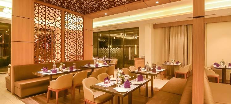 翡翠克拉克斯套房酒店(Emerald Clarks Inn Suites)图片