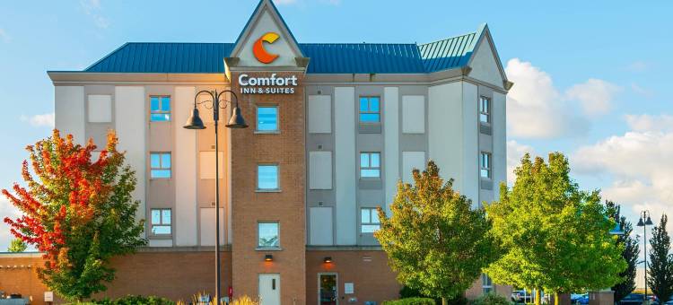 的舒适酒店和套房(Comfort Inn & Suites)图片