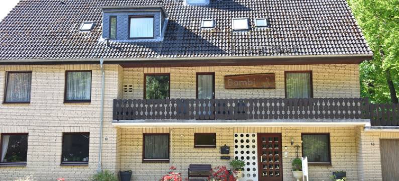 班比旅馆(Pension Haus Bambi)图片