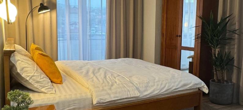 露西之星酒店(Hotel Lucy Star)图片