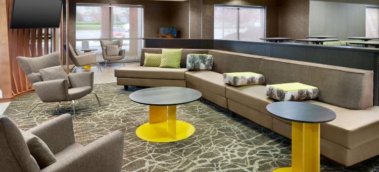 SpringHill套房酒店－夏洛特大学研究园(SpringHill Suites Charlotte University Research Park)图片