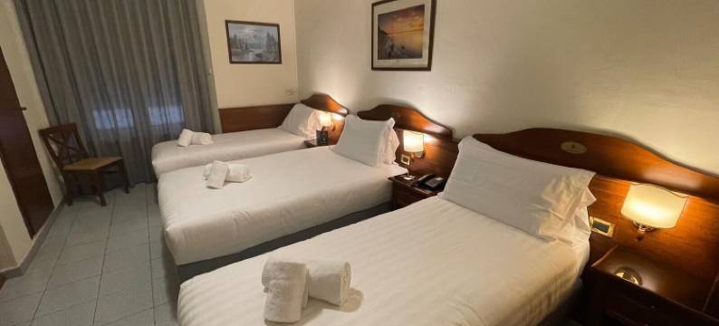 帕瓦内酒店(Hotel Pavone)图片