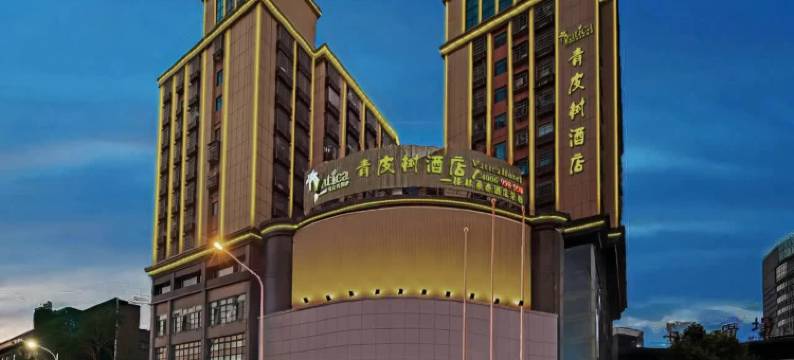 青皮树酒店(岳阳楼步行街店)图片