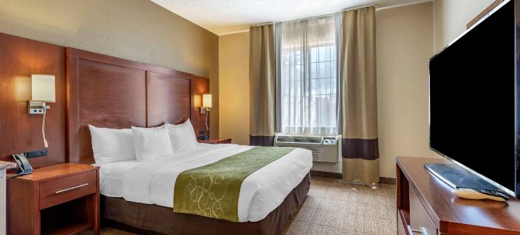 舒适套房酒店(Comfort Suites)图片