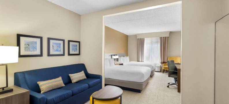 近奥兰多环球影城舒适套房酒店(Comfort Suites Near Universal Orlando Resort)图片