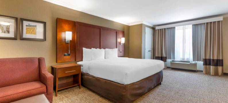 舒适套房酒店(Comfort Suites)图片