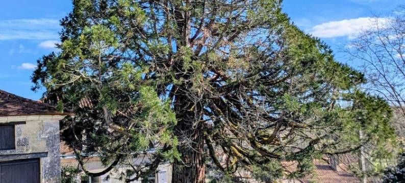 多尔多纳庄园(Domaine de la Dordrona)图片