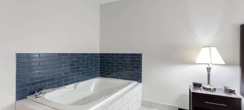 凯艺套房酒店(Quality Inn & Suites Niles)图片