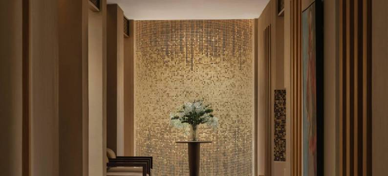 美利亚Meliá Collection沙漠棕榈(Meliá Desert Palm Member of Meliá Collection)图片