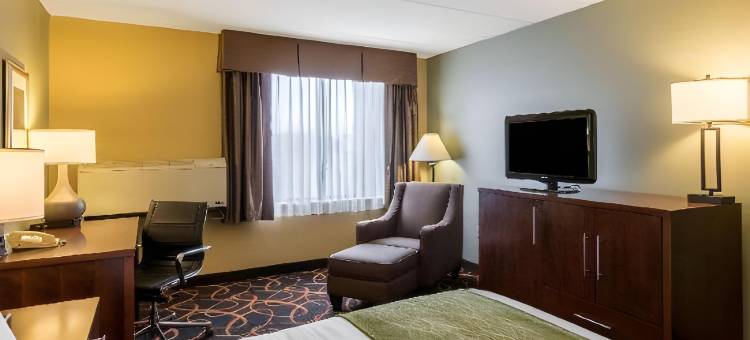 普利茅斯-明尼阿波利斯舒适酒店(Comfort Inn Plymouth-Minneapolis)图片