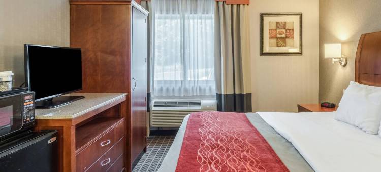 舒适套房酒店(Comfort Inn & Suites)图片