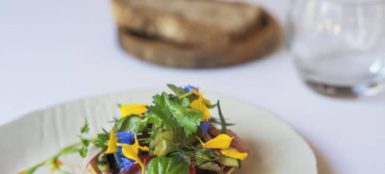 国际之家白马与克洛维酒店(Logis Hôtels & Restaurant le Cheval Blanc et Clovis)图片