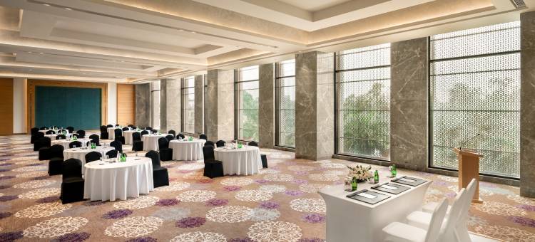德里 MG 路 丽笙酒店(Radisson Hotel Delhi MG Road)图片