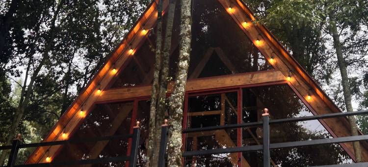 Meraki 小屋和豪华露营，由GEstores管理(Meraki Cabañas & Glamping By GEstores)图片