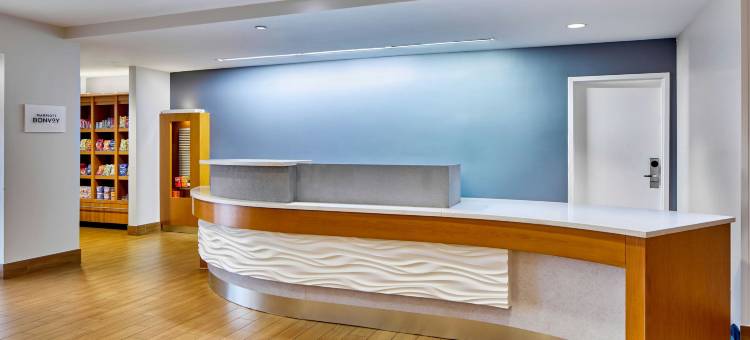亚特兰大阿尔普哈雷塔万豪SpringHill酒店(SpringHill Suites Atlanta Alpharetta)图片