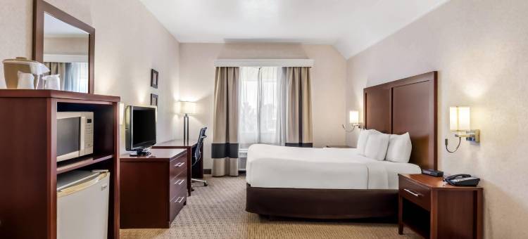 艾尔克舒适酒店(Comfort Inn Elko)图片