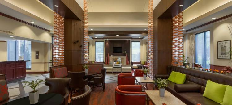 亚特兰大玛丽埃塔希尔顿花园酒店(Hilton Garden Inn Atlanta Marietta)图片