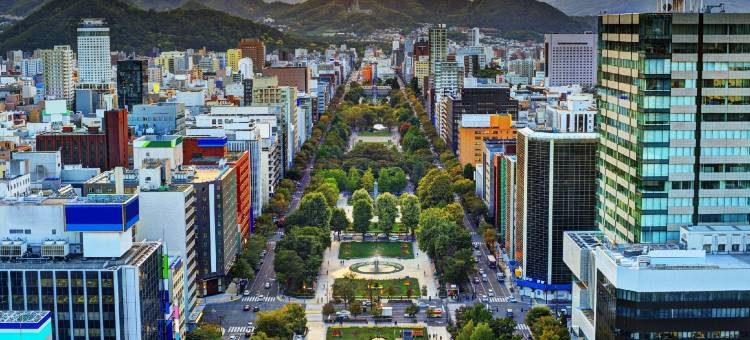 MYSTAYS札幌薄野酒店(HOTEL MYSTAYS Sapporo Susukino)图片