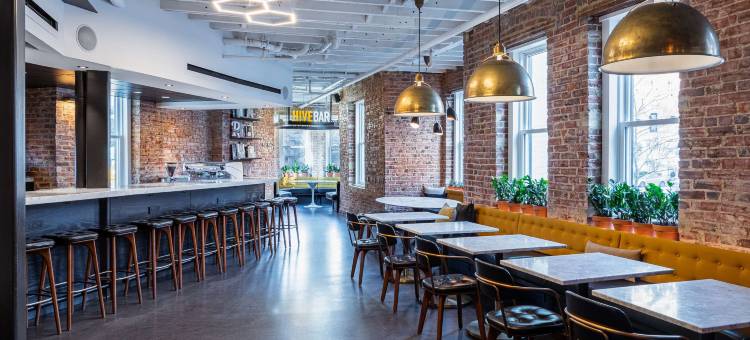 蜂巢酒店(Hotel Hive)图片