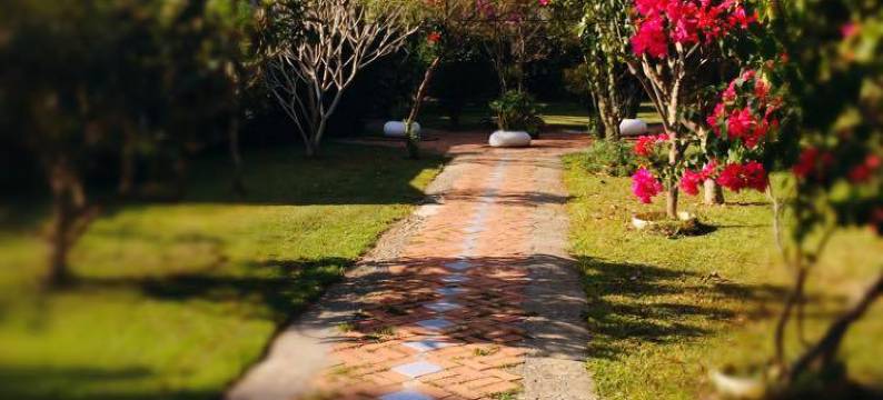 南投日月潭秘密花园民宿图片