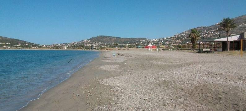 安吉丽娜之家旅馆(Angelina's Home)图片