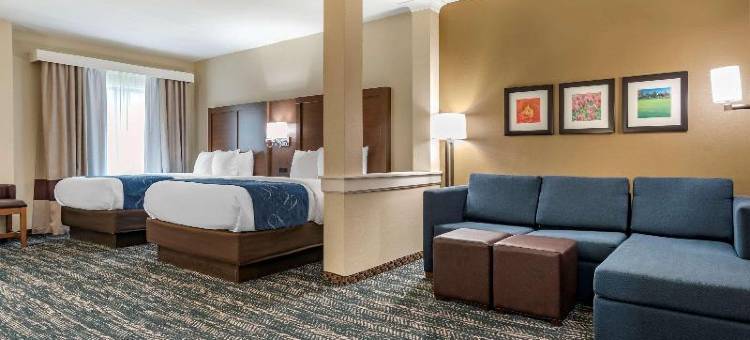 市中心舒适套房酒店-近大学(Comfort Inn & Suites Downtown Near University)图片