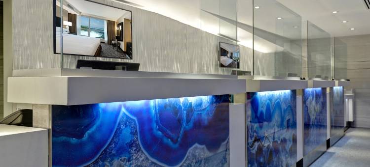 尼亚加拉瀑布/瀑景希尔顿安泊酒店(Embassy Suites by Hilton Niagara Falls/ Fallsview)图片