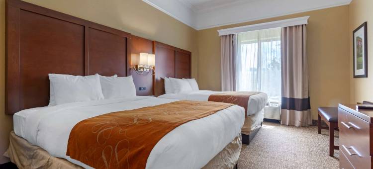 萨凡纳北舒适套房酒店(Comfort Suites Savannah North)图片