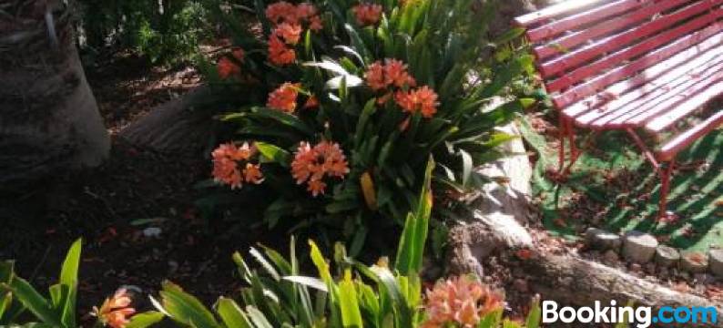 Coral Tree Guest Rooms图片