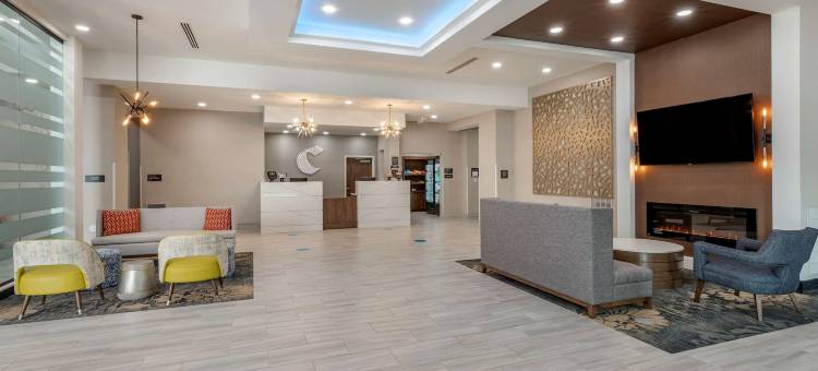 格林维尔机场舒适套房酒店(Comfort Suites Greenville Airport)图片