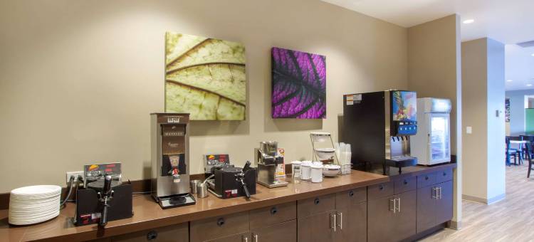 坦帕南部舒眠套房酒店(Sleep Inn & Suites Tampa South)图片