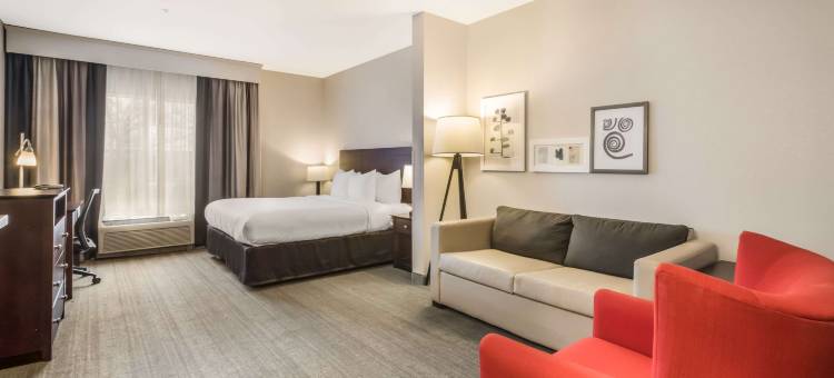 舒适酒店及套房费尔本 - 亚特兰大西南(Comfort Inn & Suites Fairburn - Atlanta Southwest)图片