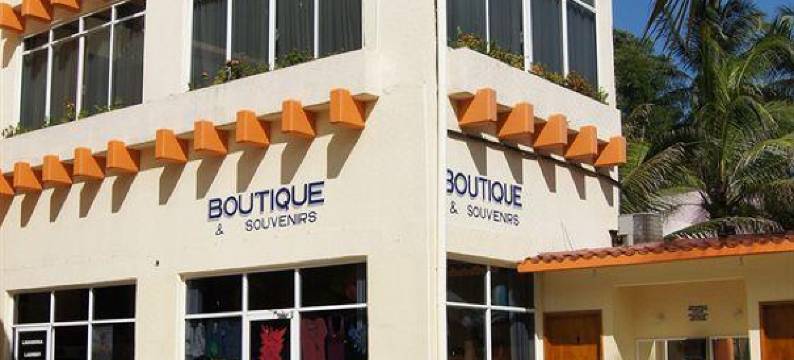 阿尔塔斯冲浪酒店(Surf Olas Altas)图片